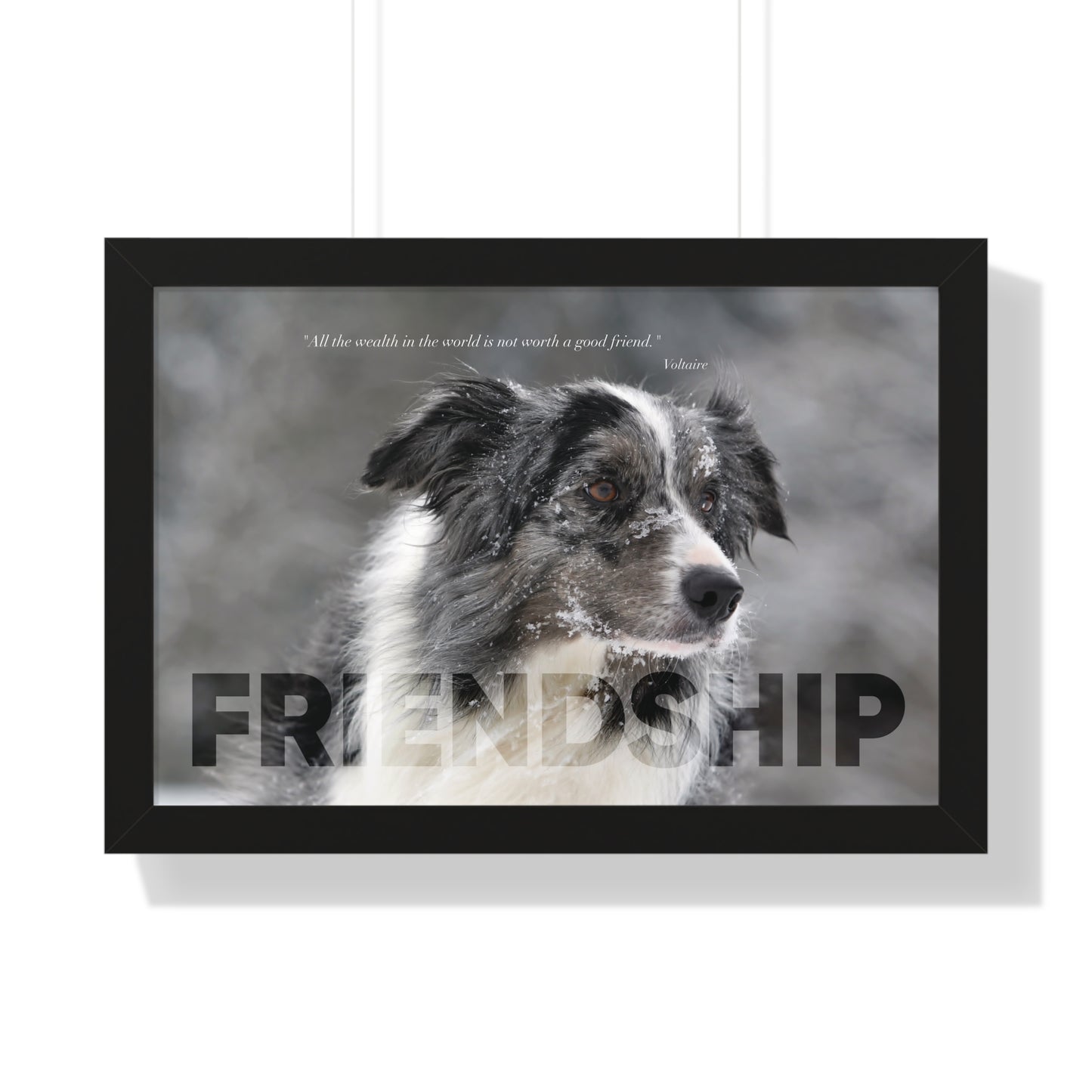 A black framed art wall with the word FRIENDSHIP in large text and a Voltaire quote hangs