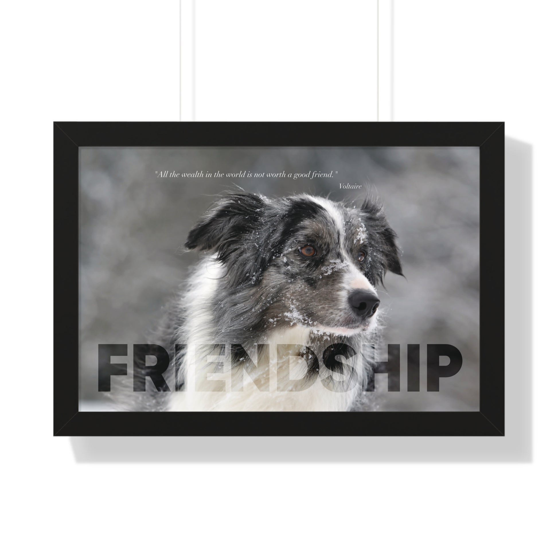 A black framed art wall with the word FRIENDSHIP in large text and a Voltaire quote hangs 