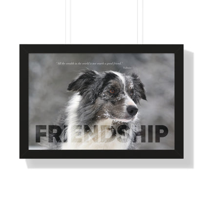 A black framed art wall with the word FRIENDSHIP in large text and a Voltaire quote hangs 