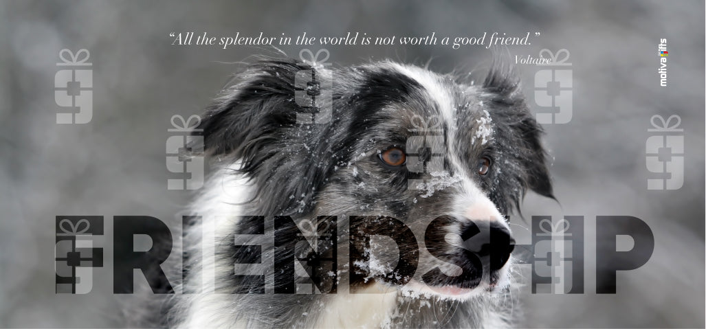 Wraparound design with the quote: “All the splendor in the world is not worth a good friend.” - Voltaire