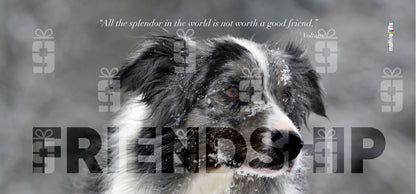 Art Poster with the word FRIENDSHIP in large text and a Voltaire quote “All the splendor in the world is not worth a good friend.” Voltaire